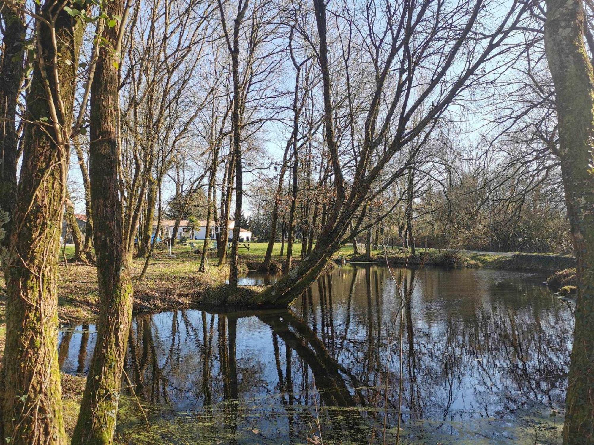 Vakantiehuis Charmante Maisonnee A La Campagne La Garnache