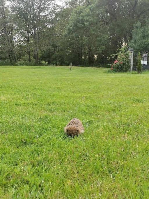 Charmante Maisonnee A La Campagne *